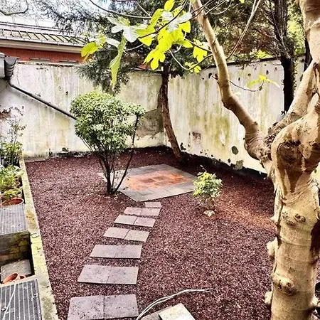 Cosy & Flat Near Center Apartment Dusseldorf