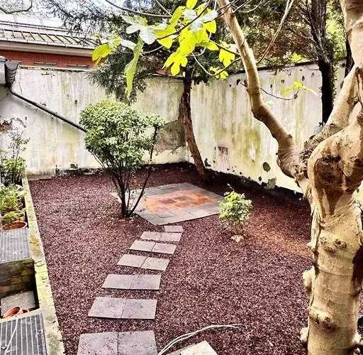 Cosy & Flat Near Center 公寓 杜塞尔多夫