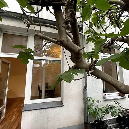 Cosy & Flat Near Center *